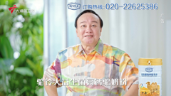 大湾区卫视高清