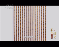 中央新影-发现之旅