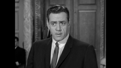 perry mason