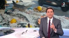 tv5monde info