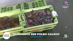 tv galicia
