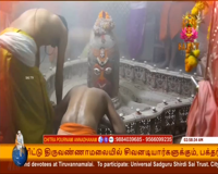sai tv