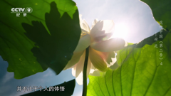 cctv-9hd