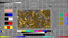cctv-12hd