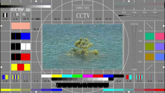 cctv-10hd