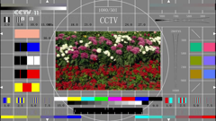 cctv-11hd
