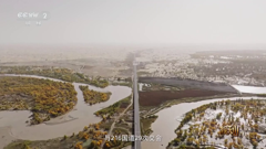 cctv2