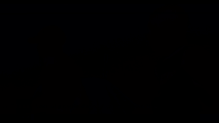rt news