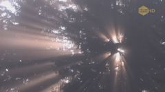 deluxe lounge