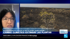france 24 español