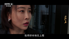 cctv-8hd