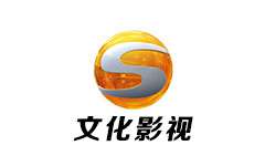 甘肃文化影视