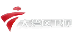 大湾区卫视