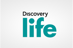 Discovery LIFE