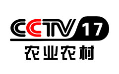 CCTV17