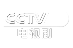 CCTV8