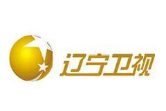 辽宁卫视