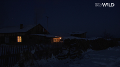 terra mater wild english