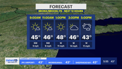 news12 plus new york