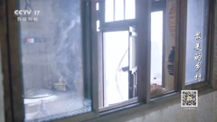 cctv17