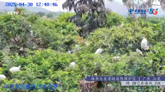 四川四姑娘山隆珠措