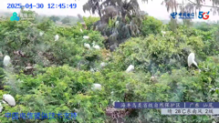 四川四姑娘山隆珠措