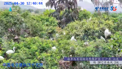 四川四姑娘山隆珠措