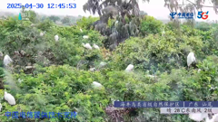 四川四姑娘山隆珠措