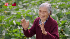 广州电视台综合