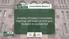 legislative assembly of ontario committees