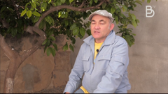 catalunya bon dia tv