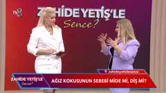 tv8