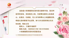 浙江｜龙游生活娱乐