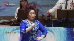 大湾区卫视高清