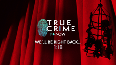 true crime now