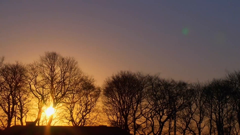 don't tell the bride