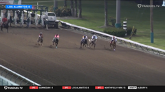 fanduel sports network