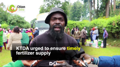 citizen extra (720p)