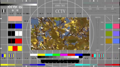 cctv-15hd