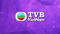 tvb việt nam