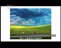 中央新影-发现之旅