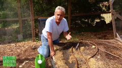 beverly hills television 10 (720p)