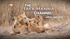 the jack hanna channel