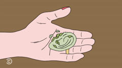 comedy central animation