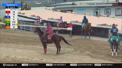 fanduel sports network