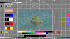 cctv-11hd