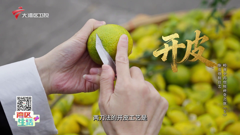 大湾区卫视高清