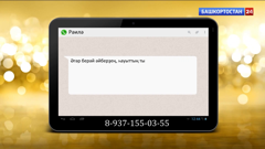 башкортостан 24