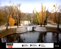 bridge tv шлягер