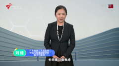 广东民生高清